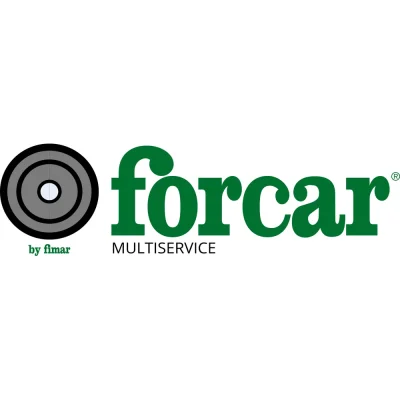 Boluri, castroane, tavi, capace, recipiente gastronomie 4,2L 6,5(h) cm