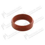 garnitura-rosie-dn50-h=17-mm