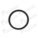 o-ring-filtru-de-clor