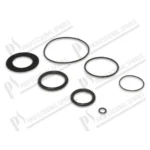 o-ring-si-garnitura-plata-[kit]