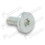 vite-t.-ad-intaglio-torx-t20-10,5mm